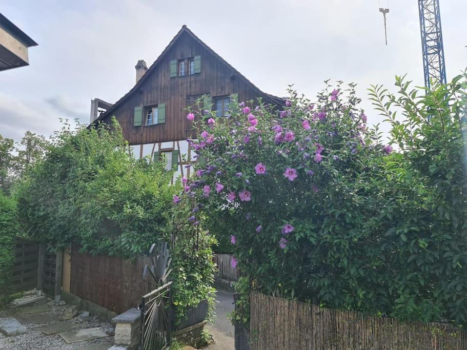 3 Bedroom Swiss House On 3 Floors Oberglatt Bagian luar foto