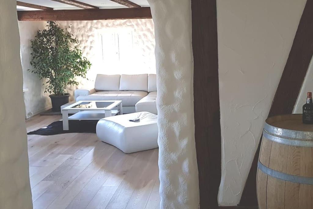 3 Bedroom Swiss House On 3 Floors Oberglatt Bagian luar foto