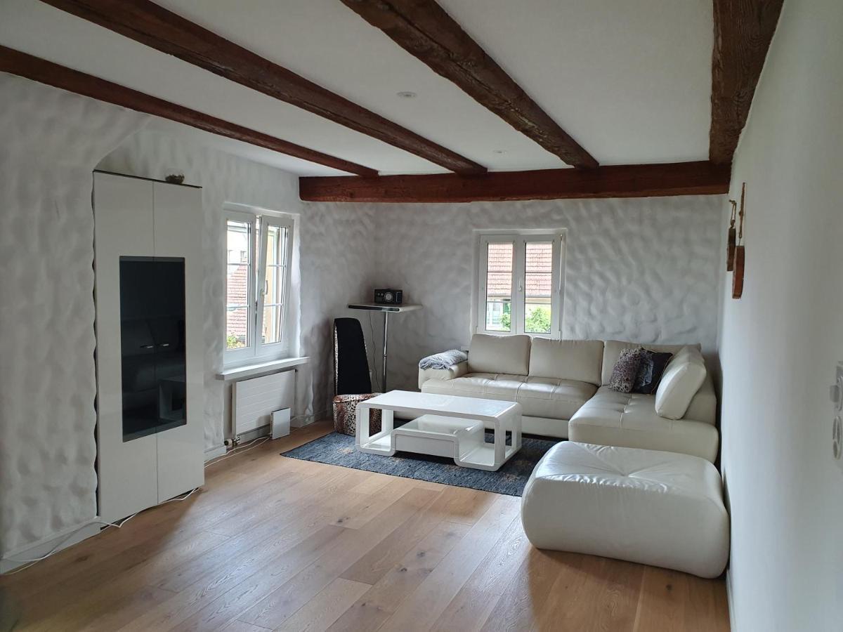 3 Bedroom Swiss House On 3 Floors Oberglatt Bagian luar foto